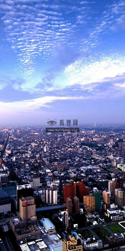 【24535】城市壁纸  2K 高清壁纸2560_1600@青蛙壁纸-笨猫小站