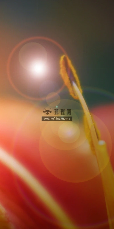 【24659】植物壁纸  2K 高清壁纸2560_1600@青蛙壁纸-笨猫小站