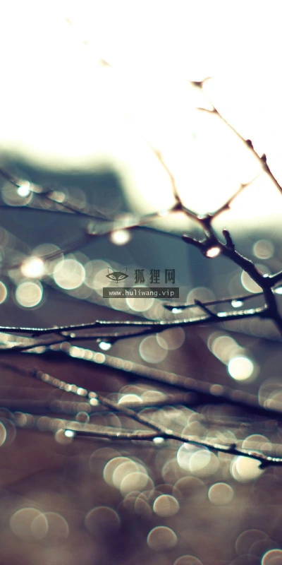 【24735】植物壁纸  2K 高清壁纸2560_1600@青蛙壁纸-笨猫小站