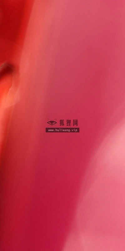 【24737】植物壁纸  2K 高清壁纸2560_1600@青蛙壁纸-笨猫小站
