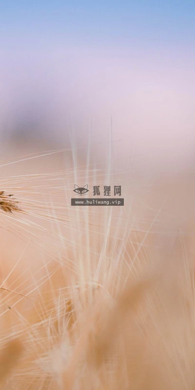 【24739】植物壁纸  2K 高清壁纸2560_1600@青蛙壁纸-笨猫小站