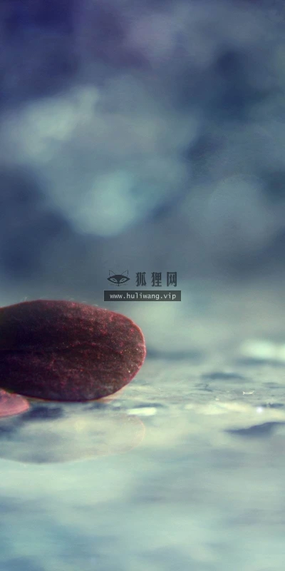 【24744】植物壁纸  2K 高清壁纸2560_1600@青蛙壁纸-笨猫小站
