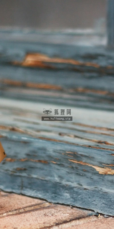 【24808】创意壁纸  2K 高清壁纸2560_1600@青蛙壁纸-笨猫小站
