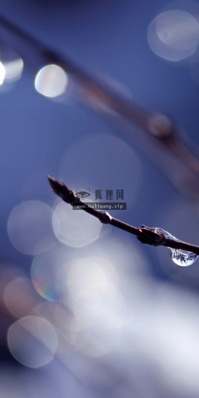 【24817】创意壁纸  2K 高清壁纸2560_1600@青蛙壁纸-笨猫小站