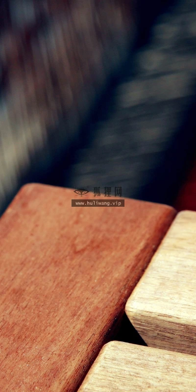 【24840】创意壁纸  2K 高清壁纸2560_1600@青蛙壁纸-笨猫小站