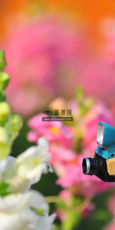 【24896】创意壁纸  2K 高清壁纸2560_1600@青蛙壁纸-笨猫小站