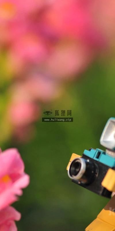 【24900】创意壁纸  2K 高清壁纸2560_1600@青蛙壁纸-笨猫小站