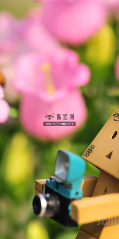 【24905】创意壁纸  2K 高清壁纸2560_1600@青蛙壁纸-笨猫小站
