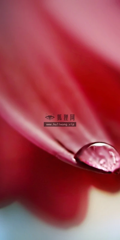 【24913】创意壁纸  2K 高清壁纸2560_1600@青蛙壁纸-笨猫小站