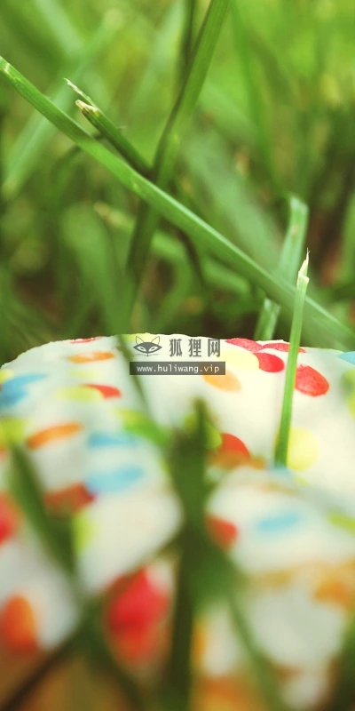 【24915】创意壁纸  2K 高清壁纸2560_1600@青蛙壁纸-笨猫小站