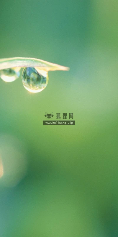 【24919】创意壁纸  2K 高清壁纸2560_1600@青蛙壁纸-笨猫小站