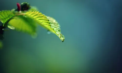 【24925】创意壁纸  2K 高清壁纸2560_1600@青蛙壁纸-笨猫小站