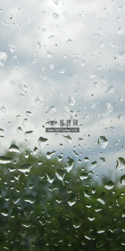 【24933】创意壁纸  2K 高清壁纸2560_1600@青蛙壁纸-笨猫小站