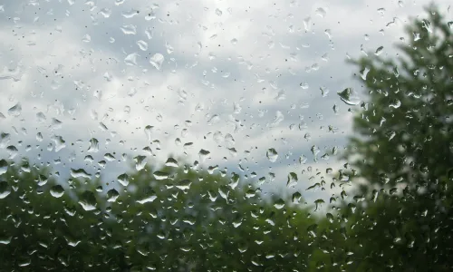 【24933】创意壁纸  2K 高清壁纸2560_1600@青蛙壁纸-笨猫小站
