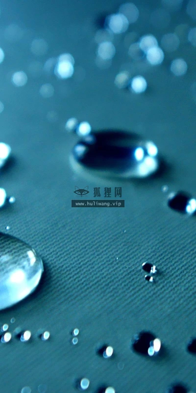 【24935】创意壁纸  2K 高清壁纸2560_1600@青蛙壁纸-笨猫小站
