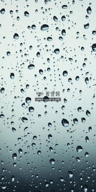 【24938】创意壁纸  2K 高清壁纸2560_1600@青蛙壁纸-笨猫小站