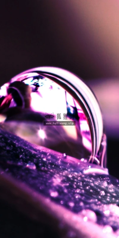 【24942】创意壁纸  2K 高清壁纸2560_1600@青蛙壁纸-笨猫小站