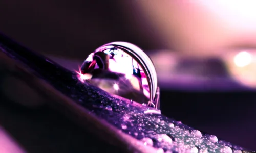 【24942】创意壁纸  2K 高清壁纸2560_1600@青蛙壁纸-笨猫小站