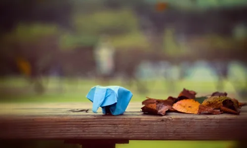 【24946】创意壁纸  2K 高清壁纸2560_1600@青蛙壁纸-笨猫小站