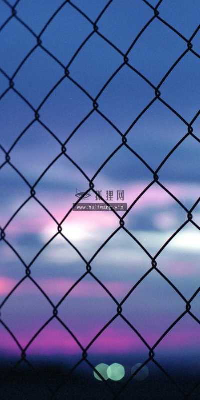 【24953】创意壁纸  2K 高清壁纸2560_1600@青蛙壁纸-笨猫小站