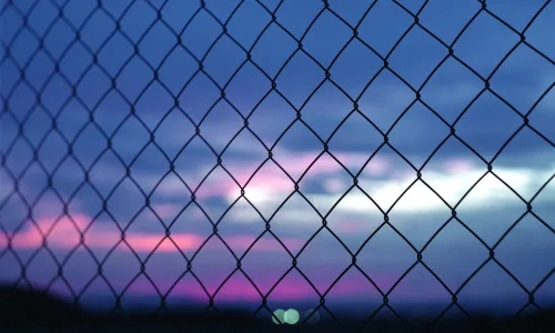 【24953】创意壁纸  2K 高清壁纸2560_1600@青蛙壁纸-笨猫小站