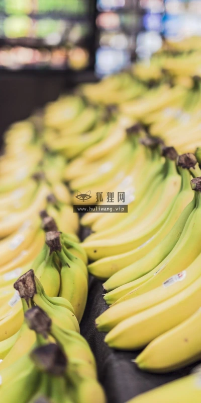 【24954】创意壁纸  2K 高清壁纸2560_1600@青蛙壁纸-笨猫小站