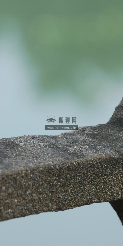 【24960】创意壁纸  2K 高清壁纸2560_1600@青蛙壁纸-笨猫小站