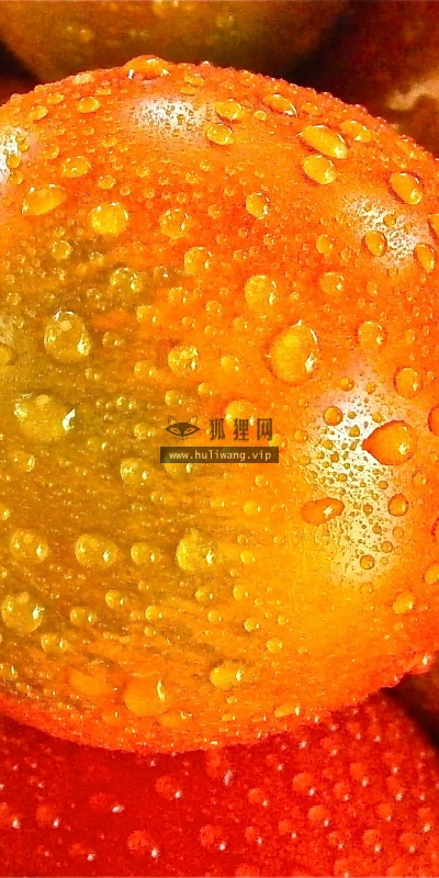 【24963】创意壁纸  2K 高清壁纸2560_1600@青蛙壁纸-笨猫小站