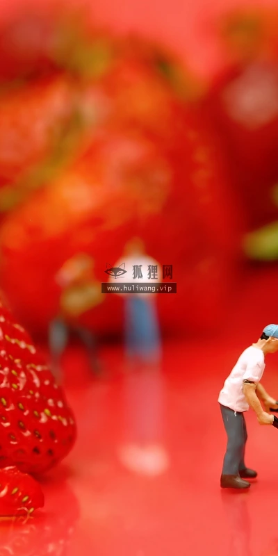 【24967】创意壁纸  2K 高清壁纸2560_1600@青蛙壁纸-笨猫小站