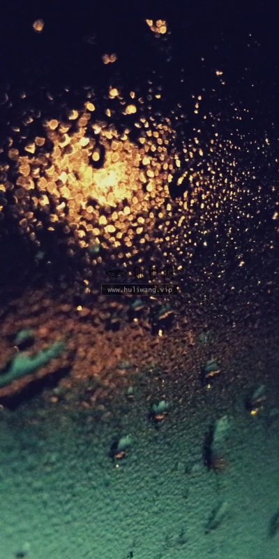 【24982】创意壁纸  2K 高清壁纸2560_1600@青蛙壁纸-笨猫小站