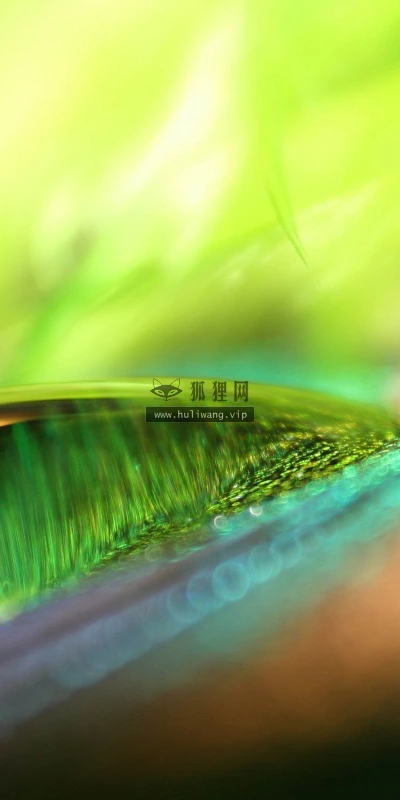 【24986】创意壁纸  2K 高清壁纸2560_1600@青蛙壁纸-笨猫小站