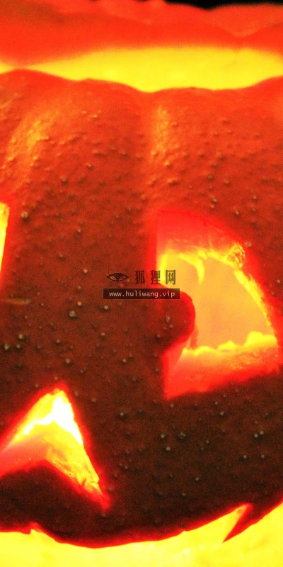 【24996】创意壁纸  2K 高清壁纸2560_1600@青蛙壁纸-笨猫小站
