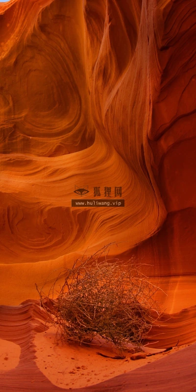 【25015】创意壁纸  2K 高清壁纸2560_1600@青蛙壁纸-笨猫小站