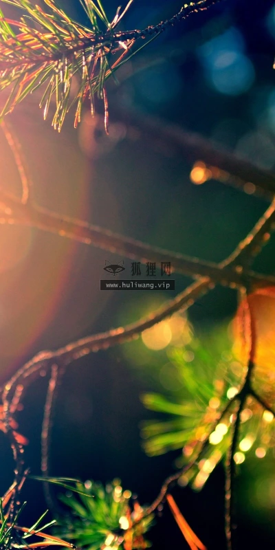 【25027】创意壁纸  2K 高清壁纸2560_1600@青蛙壁纸-笨猫小站