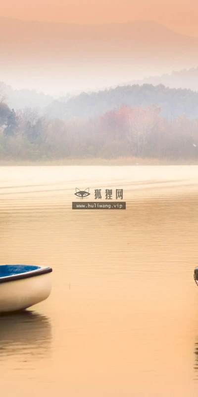 【25033】创意壁纸  2K 高清壁纸2560_1600@青蛙壁纸-笨猫小站
