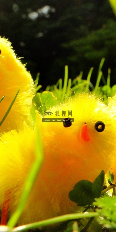 【25042】创意壁纸  2K 高清壁纸2560_1600@青蛙壁纸-笨猫小站