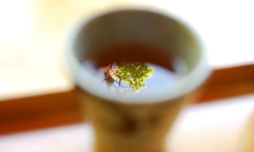 【25056】创意壁纸  2K 高清壁纸2560_1600@青蛙壁纸-笨猫小站