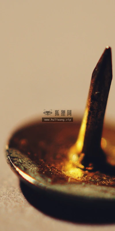【25057】创意壁纸  2K 高清壁纸2560_1600@青蛙壁纸-笨猫小站