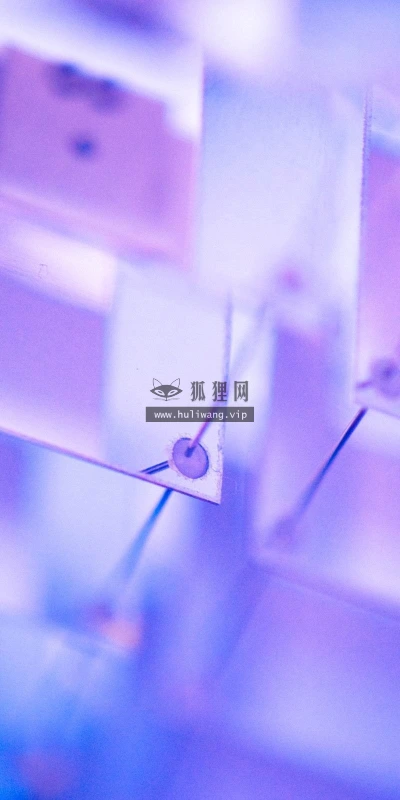 【25067】创意壁纸  2K 高清壁纸2560_1600@青蛙壁纸-笨猫小站