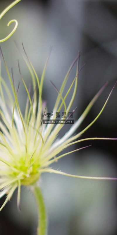 【25088】创意壁纸  2K 高清壁纸2560_1600@青蛙壁纸-笨猫小站