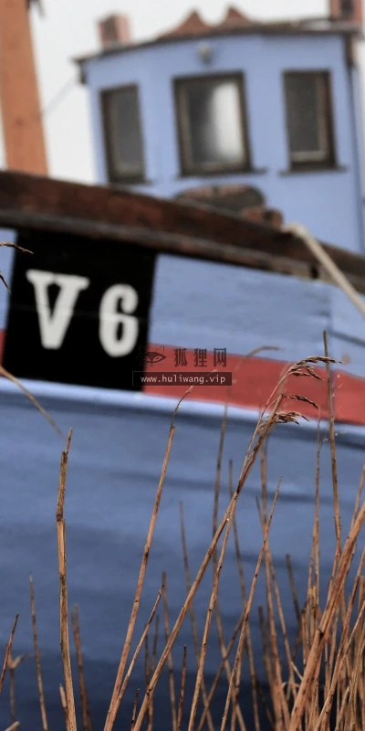 【25095】创意壁纸  2K 高清壁纸2560_1600@青蛙壁纸-笨猫小站
