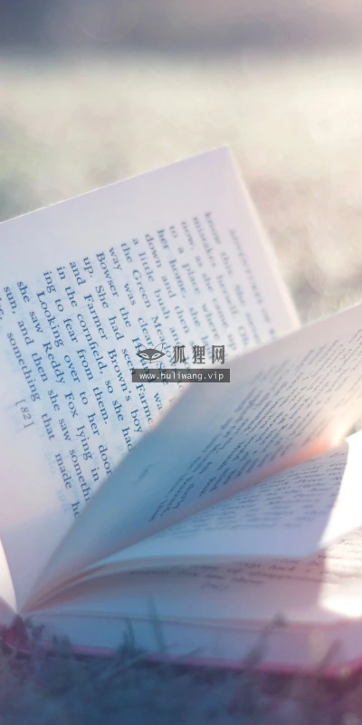 【25102】创意壁纸  2K 高清壁纸2560_1600@青蛙壁纸-笨猫小站