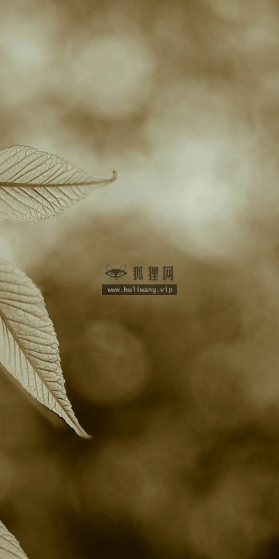 【25114】创意壁纸  2K 高清壁纸2560_1600@青蛙壁纸-笨猫小站