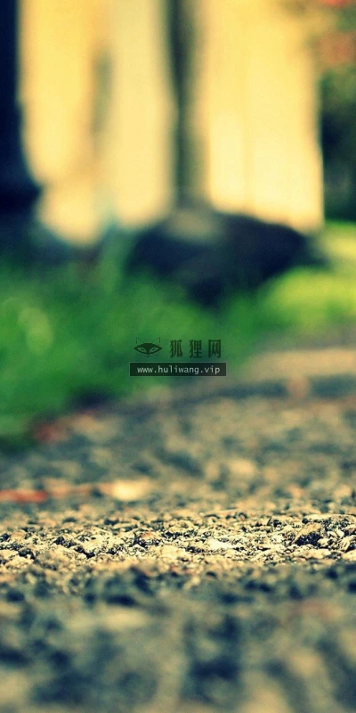 【25120】创意壁纸  2K 高清壁纸2560_1600@青蛙壁纸-笨猫小站