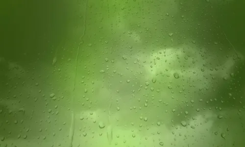 【25131】创意壁纸  2K 高清壁纸2560_1600@青蛙壁纸-笨猫小站