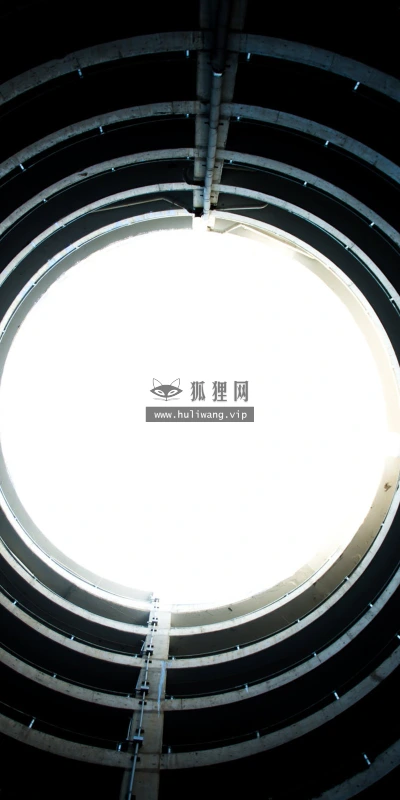 【25135】创意壁纸  2K 高清壁纸2560_1600@青蛙壁纸-笨猫小站