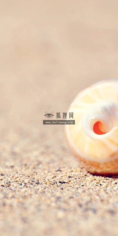 【25144】创意壁纸  2K 高清壁纸2560_1600@青蛙壁纸-笨猫小站