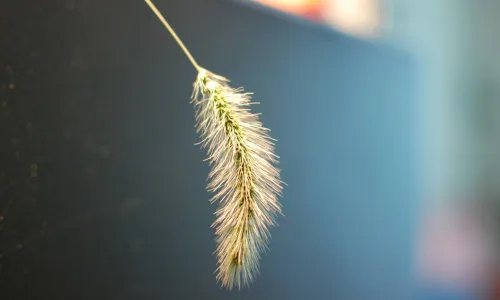 【25152】创意壁纸  2K 高清壁纸2560_1600@青蛙壁纸-笨猫小站