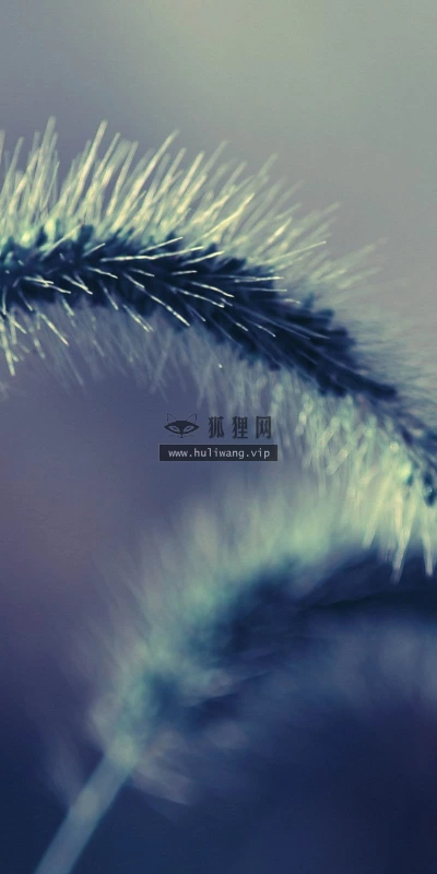 【25154】创意壁纸  2K 高清壁纸2560_1600@青蛙壁纸-笨猫小站