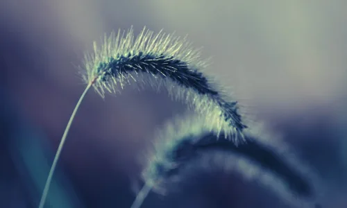 【25154】创意壁纸  2K 高清壁纸2560_1600@青蛙壁纸-笨猫小站